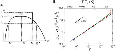 A Review on Transport Phenomena Near the Critical Point of Fluids Under Weightlessness